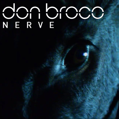 Don Broco  Nerve