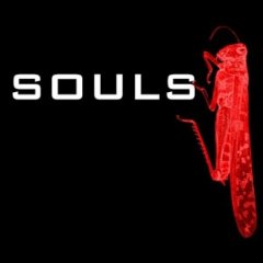 Souls - Simple Terms And Conditions